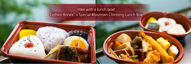 Mountain Climbing Lunch Box