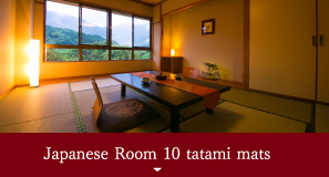 Japanese Room 10 tatami mats