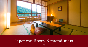 Japanese Room 8 tatami mats