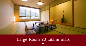 Large Room 20 tatami mats