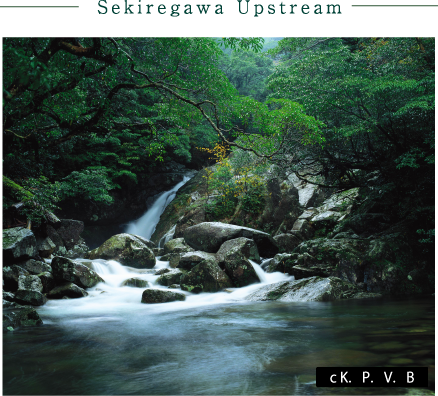 Sekiregawa Upstream