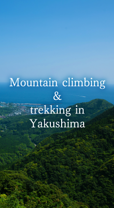 Mountain climbing & trekking in Yakushima