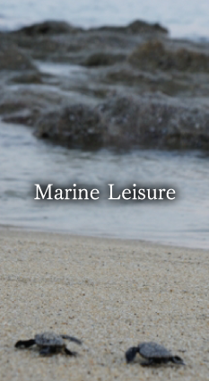 Marine Leisure