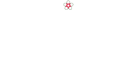 Supporting climbing and trekking in Yakushima