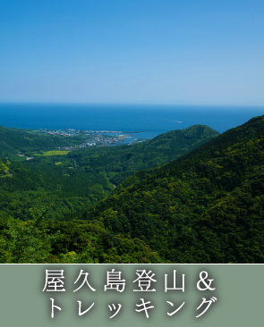 屋久島登山＆トレッキング屋久島登山＆トレッキング