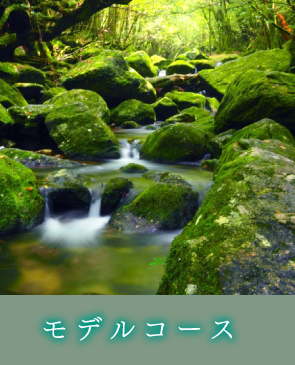 モデルコース