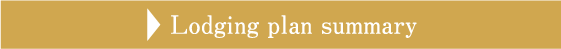 Lodging plan summary