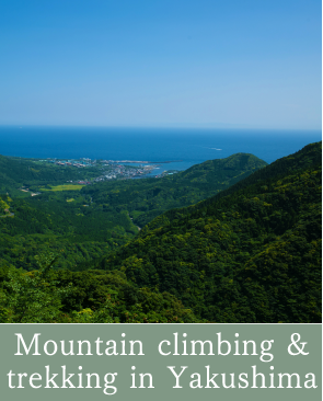 Mountain climbing & trekking in Yakushima
