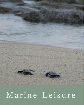Marine Leisure