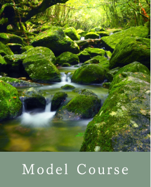 Model Course