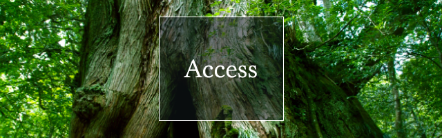 Access