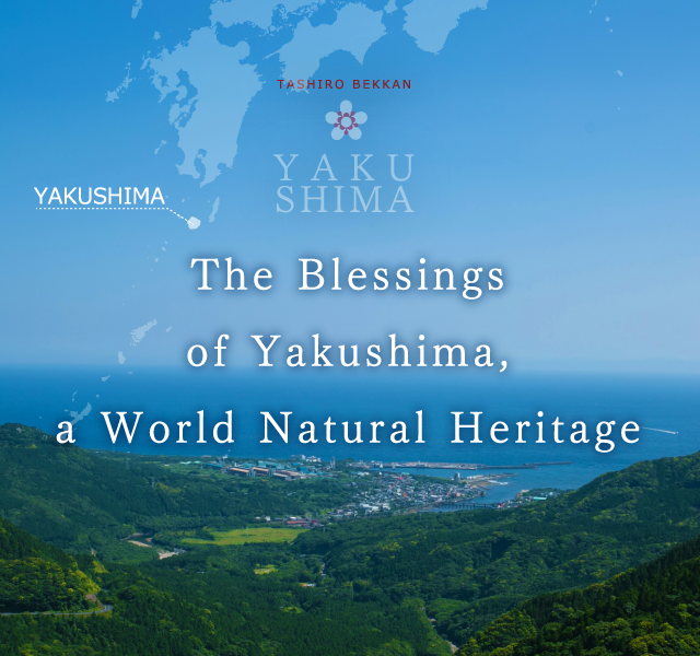 The Blessings of Yakushima, a World Natural Heritage 