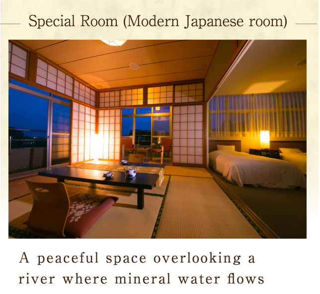 Special Room (Modern Japanese room)