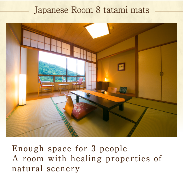 Japanese Room 8 tatami mats
