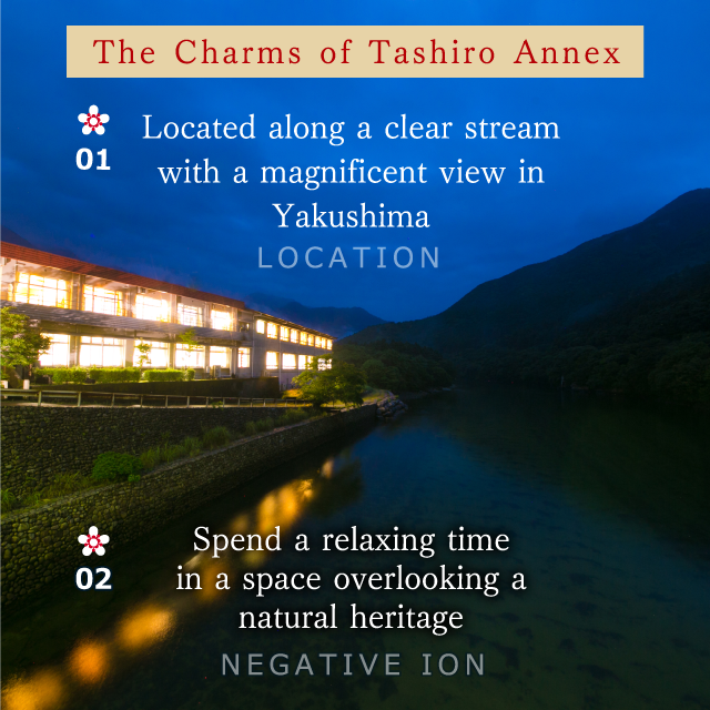 The Charms of Tashiro Annex