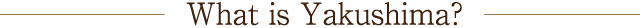 What is Yakushima?
