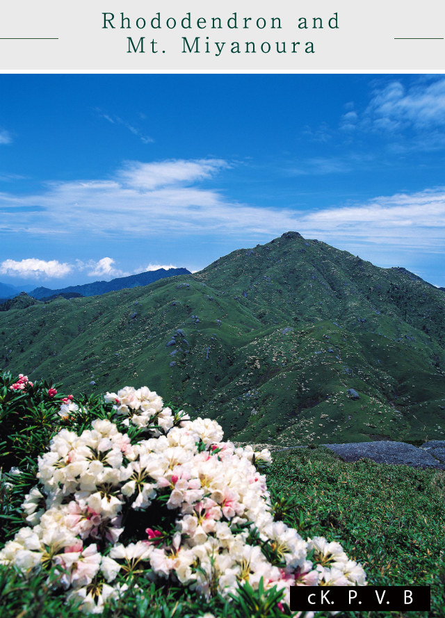 Hirauchikaichu Hot Spring