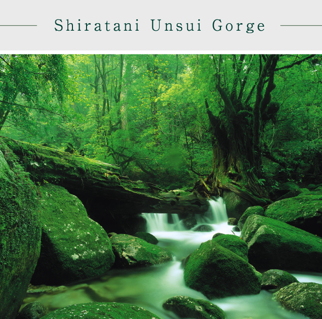 Shiratani Unsui Gorge