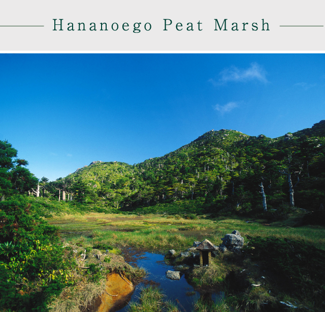 Hananoego Peat Marsh