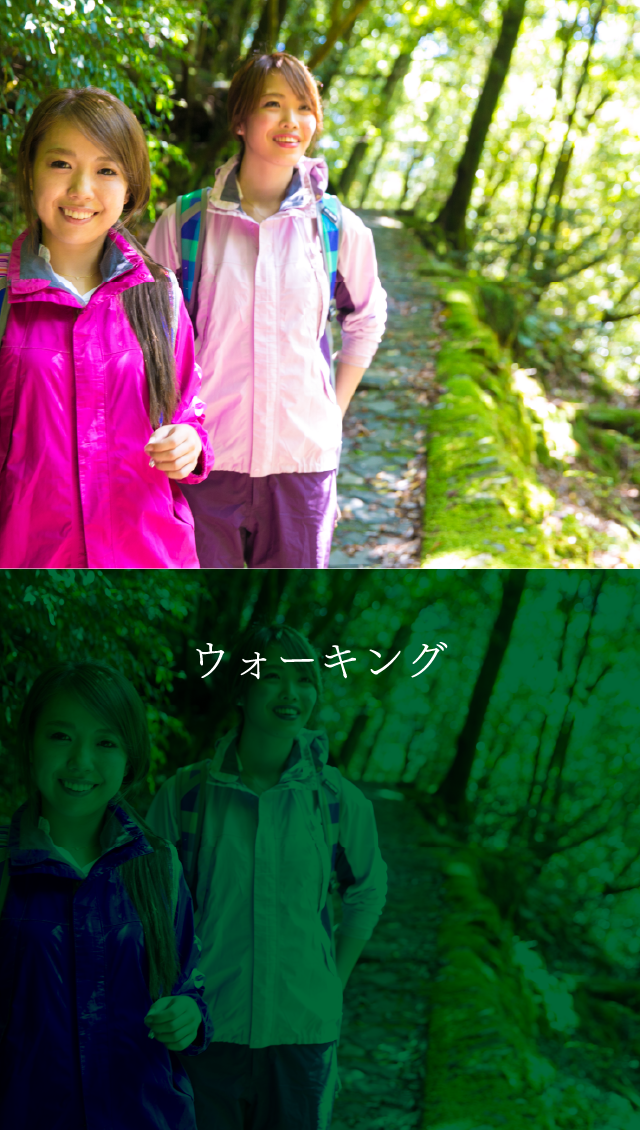 サイクリング＆ウォーキング