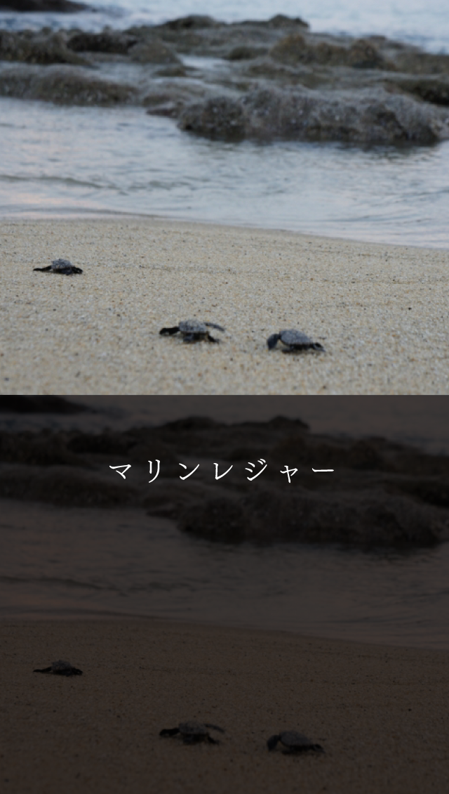 マリンレジャー