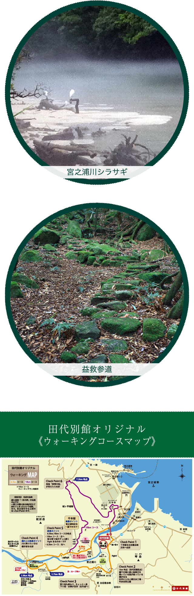 宮之浦川シラサギ、益救参道