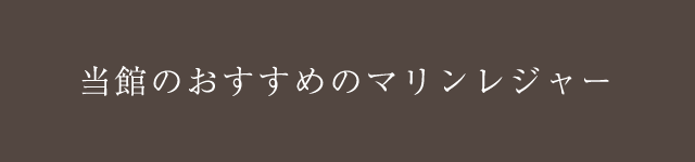 当館のおすすめのマリンレジャー