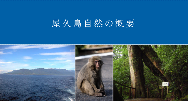 屋久島自然の概要