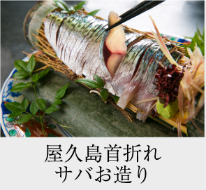 屋久島首折れサバお造り