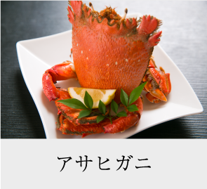 アサヒガニ