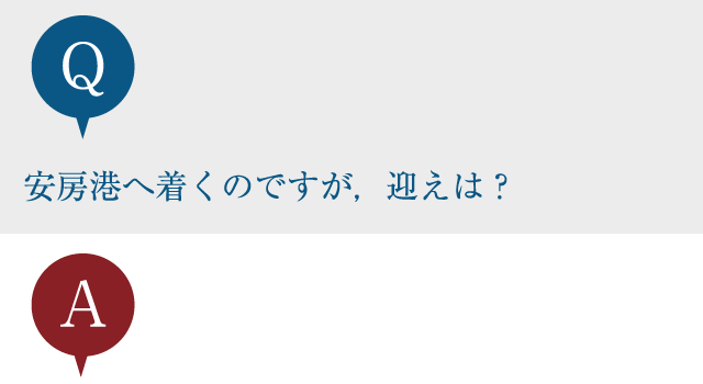 安房港へ着くのですが，迎えは？