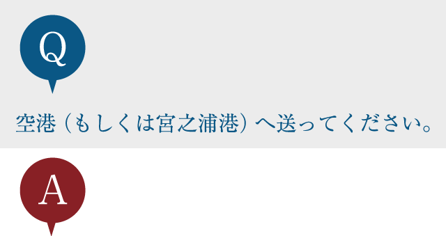 空港（もしくは宮之浦港）へ送ってください。