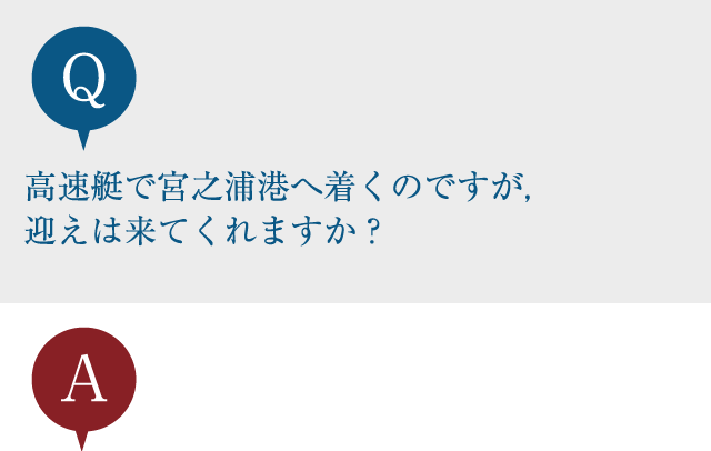 高速艇で宮之浦港へ着くのですが，迎えは来てくれますか？