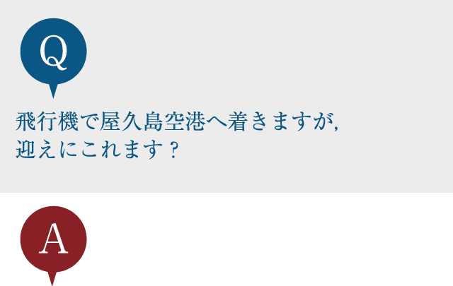 飛行機で屋久島空港へ着きますが，迎えにこれます？