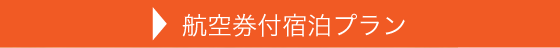 航空券付宿泊プラン