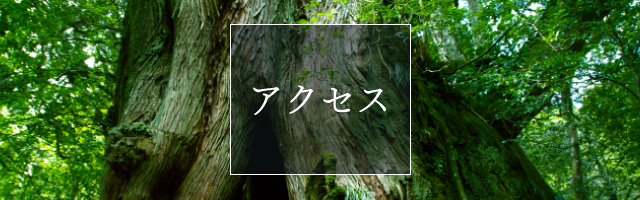 アクセス