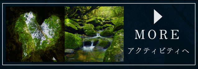 アクティビティへ