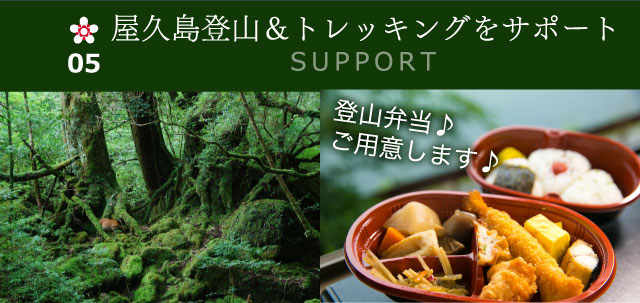 屋久島登山＆トレッキングをサポート