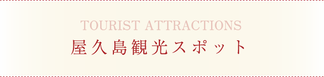 屋久島観光スポット