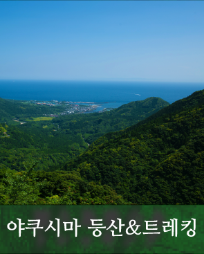 야쿠시마 등산&트레킹