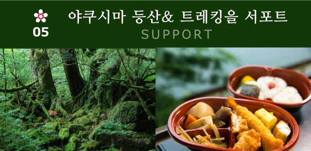 야쿠시마 등산& 트레킹을 서포트