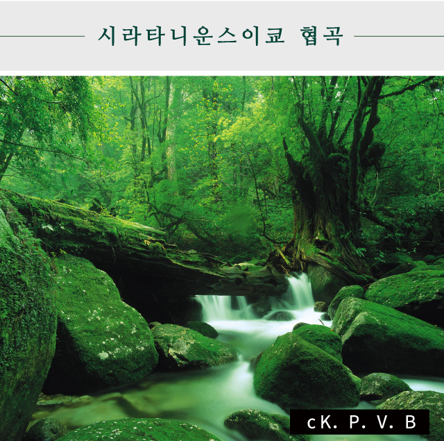 시라타니운스이쿄 협곡