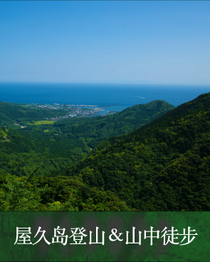 屋久岛登山＆山中徒步