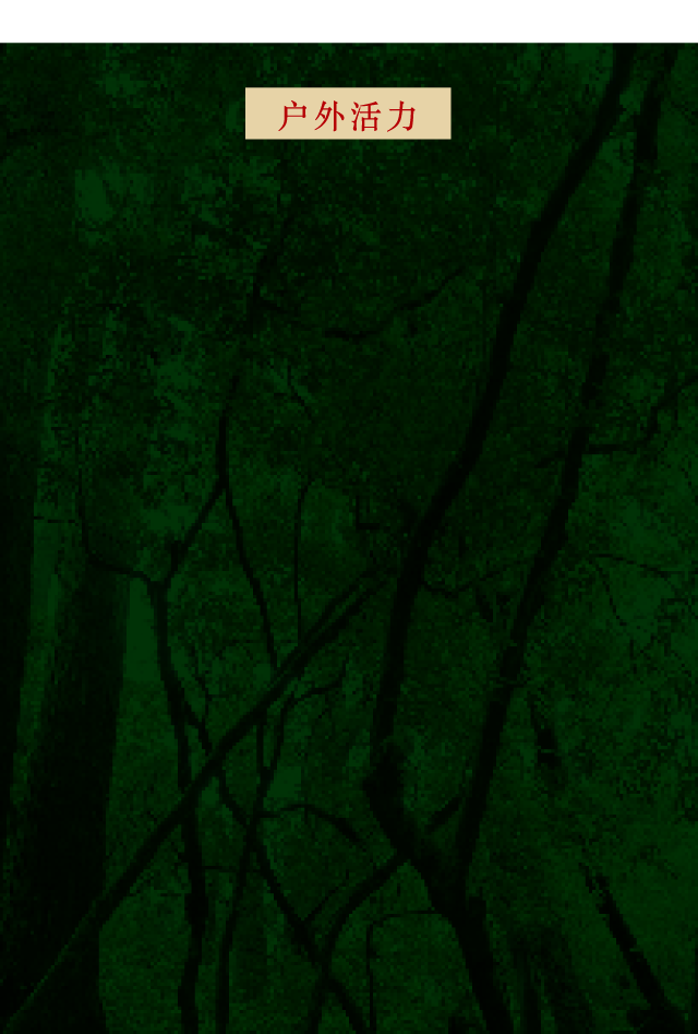 户外活力