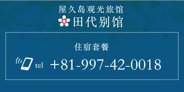 屋久岛观光旅馆 田代别馆