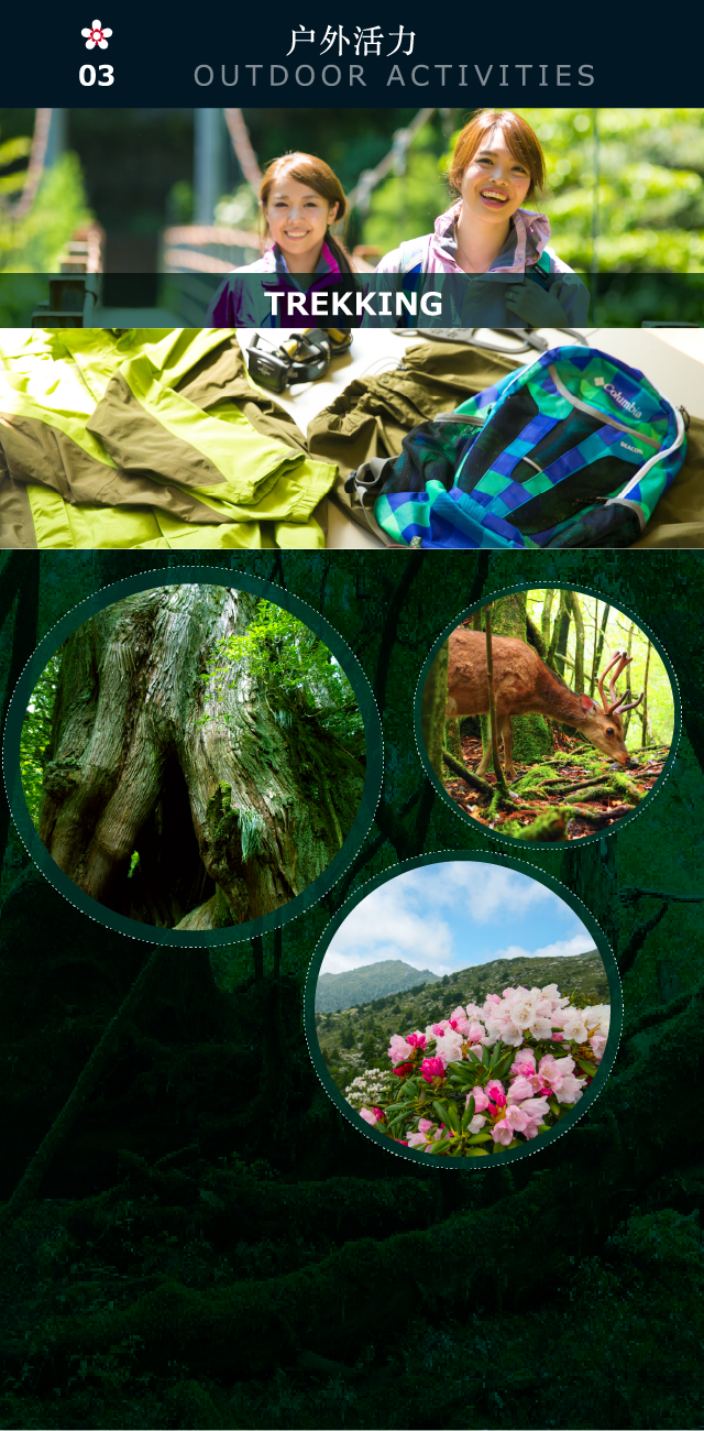 户外活力