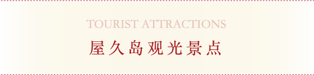 屋久岛观光景点