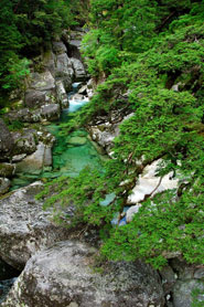 ヤクスギランド　渓流